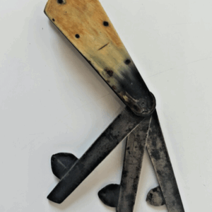 Ancienne flamme de vétérinaire